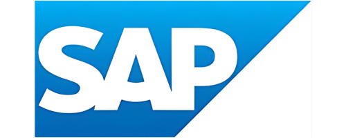 SAP Business Partner