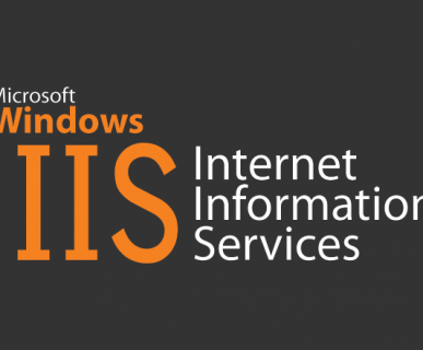 Strategic Performance Management, Microsoft Internet Information Services